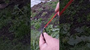 Обслуживание дроссельной заслонки тойота камри 40