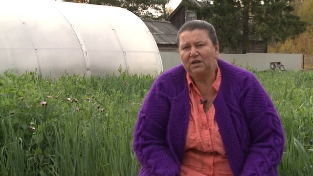 Краткий обзор сортов картофеля 2020 год смотреть онлайн