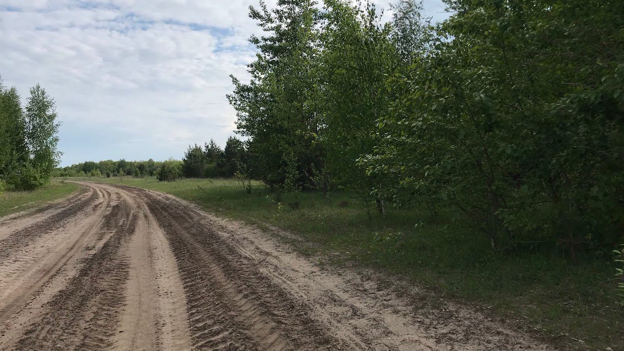 Путешествуем по родным местам с Лисёнком смотреть онлайн