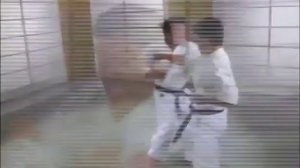 FUMIO DEMURA SHITO RYU KARATE 5 DVD SET