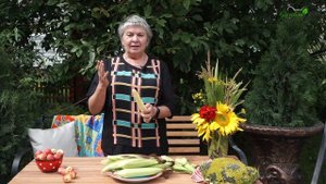 Полезные свойства Кукурузы ?   Какой Сорт Кукурузы Выбрать ✔️