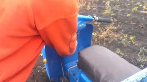 Муравей. Muravej