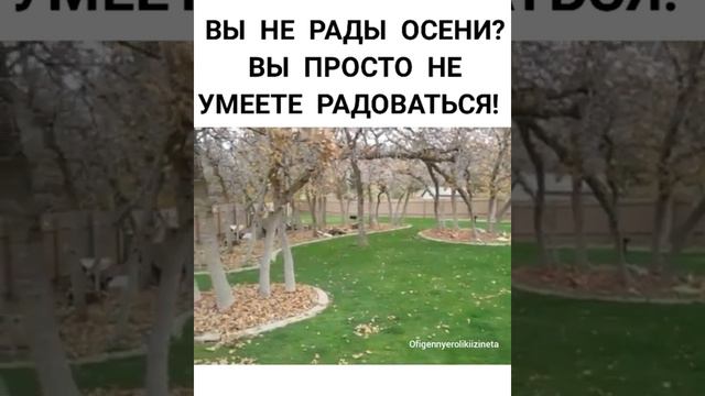 Вы не рады осени вы просто не умеете радоваться