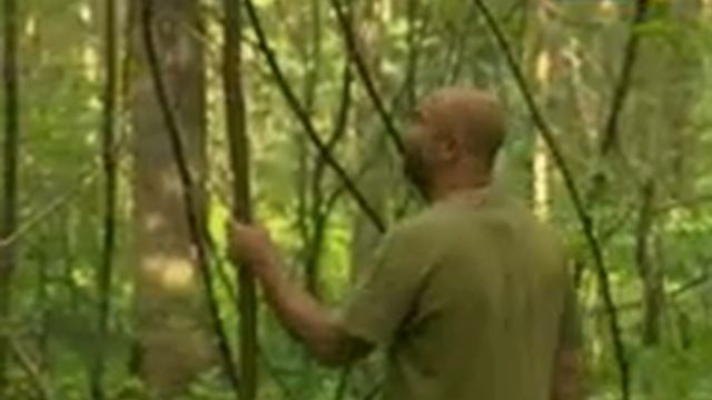 17. Рейтинг Баженова. Могло быть хуже. Конь педальный