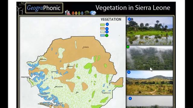 Vegetation of Sierra Leone, marshes, swamps, secondary forest, stop deforestation in Sierra Leone смотреть онлайн