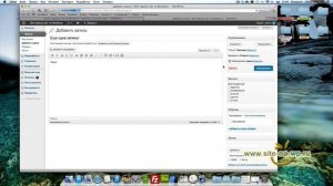 Для чего нужны метки в WordPress