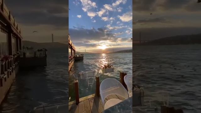 Прекрасный вечер ? #shorts смотреть онлайн