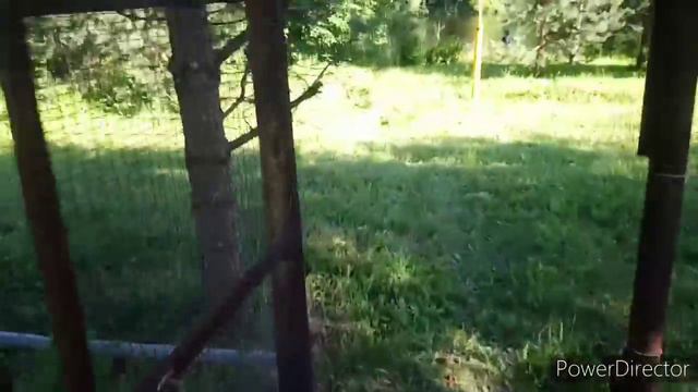 И ПУСТЬ ВЕСЬ МИР ПОДОЖДЕТ смотреть онлайн