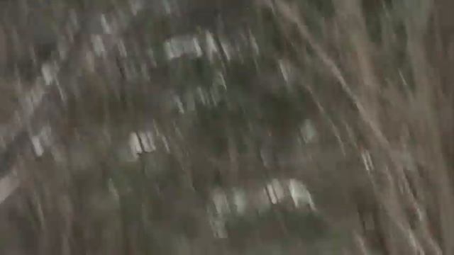 карагач распиловка