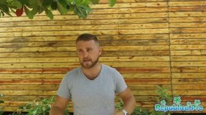 Где поменять доллары на песо?