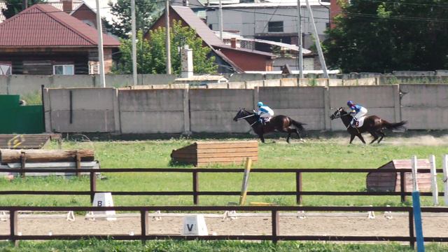 31.07.2021г.Абаканский ИпподромПриз МСХ и продовольствия РХ верховых пород 3-х лет и старше 1600м