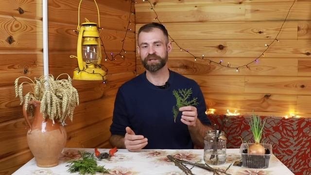 Зачем покупать, если можно вырастить бесплатно.