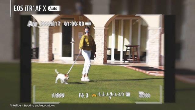 Introducing the Canon EOS R50 Digital Camera смотреть онлайн