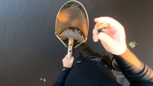 Маленькое озеро, собрал много всего опасного  #металлоискатель