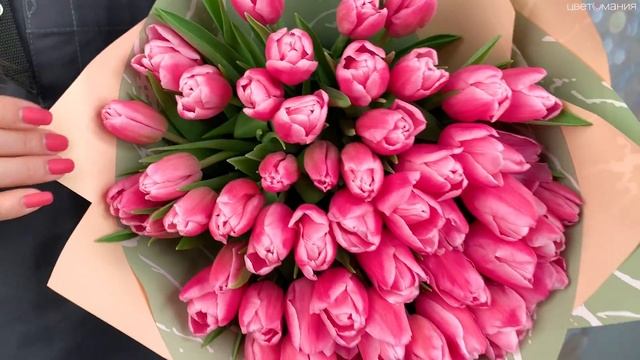 Обзор букета из 51 розового тюльпана смотреть онлайн