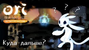 Умудрился заблудиться [Ori and the blind forest. Definition edition]