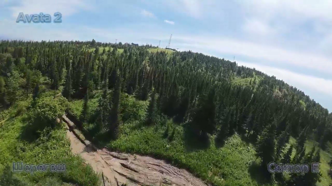 Шерегеш гора Зеленая глазами птиц | Лето смотреть онлайн