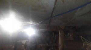 Охота у коз, почему не приходят в охоту,причины и ещё.
