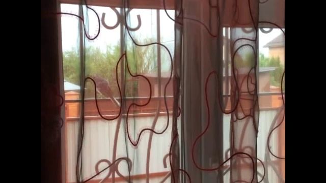 КОМЕДИЯ РОК  Птичка-Пташка