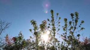 Industria Veris - ព្រះអាទិត្យ - ຕາເວັນ - സൂര്യൻ КРАСОТА!