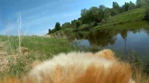 На рыбалку в глушь.