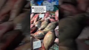 Мелитополь на связи🇷🇺❤️💪 ПОДПИШИСЬ 🤝✅