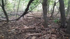 С детьми за монетами на БАРСКУЮ УСАДЬБУ