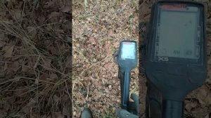 Металлоискатель Quest x5  Ищет!