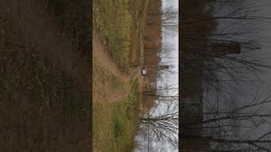 pride diamond 10 1 пара от ural pt 1200.2
