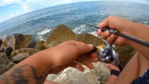 ROCKFISHING Адлер