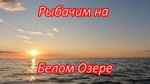 Ловим судаков и отдыхаем на Белов озере. Наслаждаемся природой.