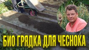 Правильно подготовить почву - это залог крупного чеснока, как я готовлю грядки под чеснок в новом се