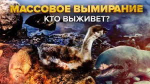 Шестая волна вымирания | Выживут ли люди? | Сортировочная