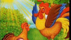 куры и петухи Сен Санс