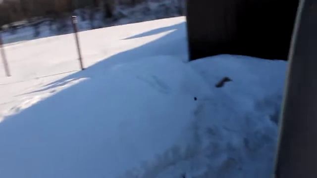 шумка авто смотреть онлайн