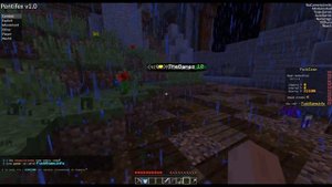 Как поднять онлайн на сервере minecraft. TMleaks