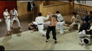 Донни Йен о Брюсе Ли