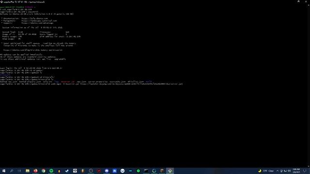 Minecraft Java Server Using GoDaddy VPS (Linux) | No Command Explanation смотреть онлайн