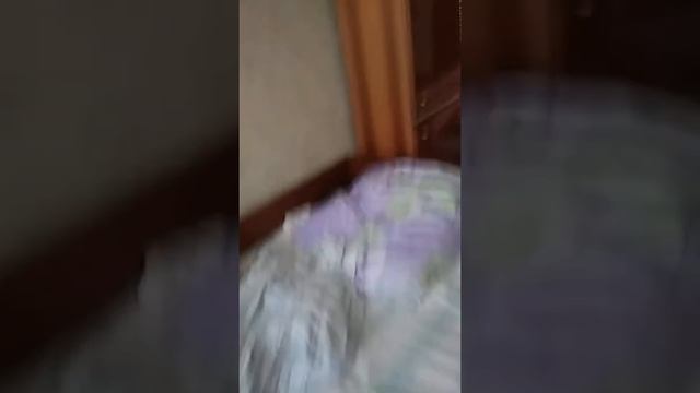 Короче говоря дочка получила двойку смотреть онлайн