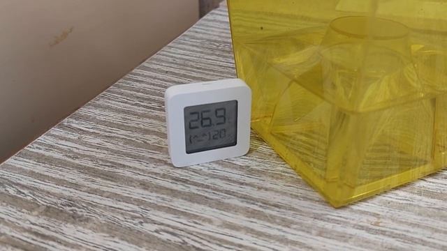 Оставьте нас в покое! :) Уход за катасетумами в период покоя. Катасетум или орхидея морковка. смотреть онлайн