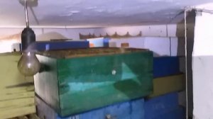 Хранение суши Восковая моль Дезинфекция рамок