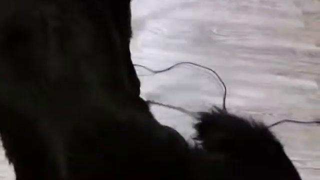 Mitä Laku tuunaa!? смотреть онлайн