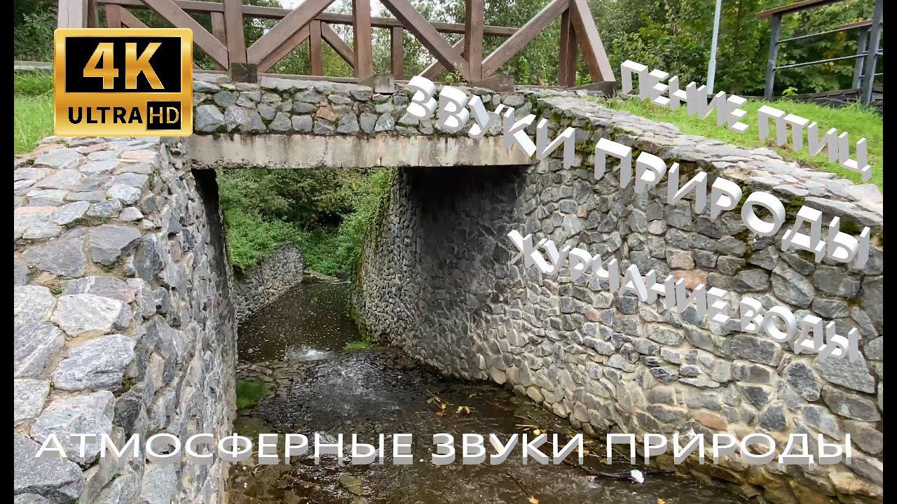 Звуки природы Журчание воды митинский парк с.Рождествено