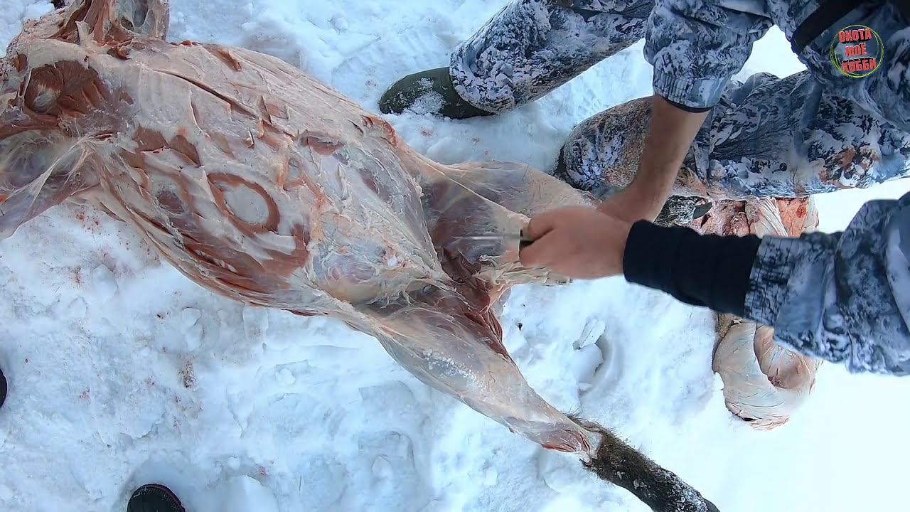 РАЗДЕЛКА КАБАНОВ смотреть онлайн