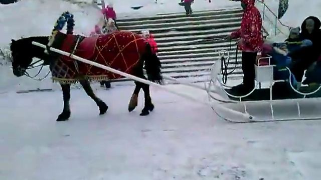 Так вот ты какой, северный олень... смотреть онлайн