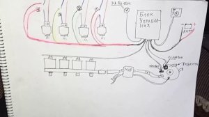 Информация по установке ГБО4 на Opel Omega A C20NE