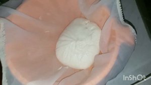 Почему не получился сыр моцарелла