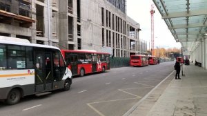 Автобус Аэроэкспресс в аэропорт Шереметьево | AeroExpress, Moscow SVO