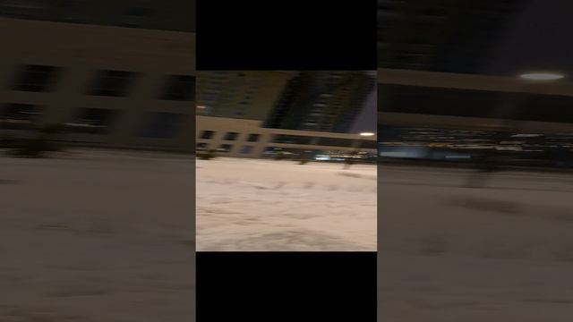 Цивилизация на Неве