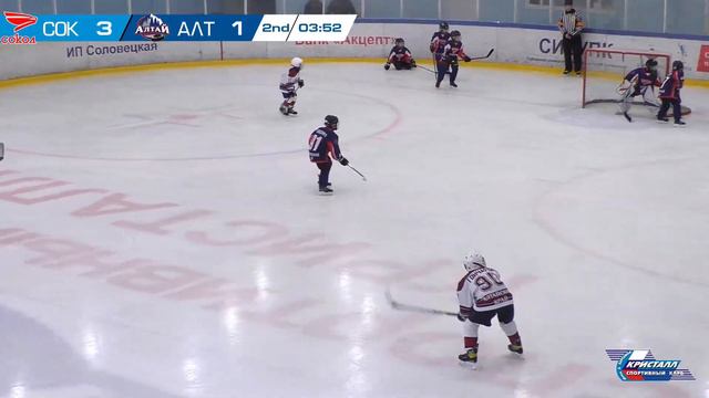 19.11.2022 Сокол 2014 ( Красноярск ) - Алтай 2014 ( Барнаул ) Турнир смотреть онлайн